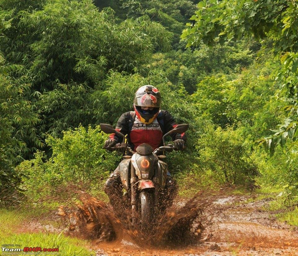 Trail Ride
